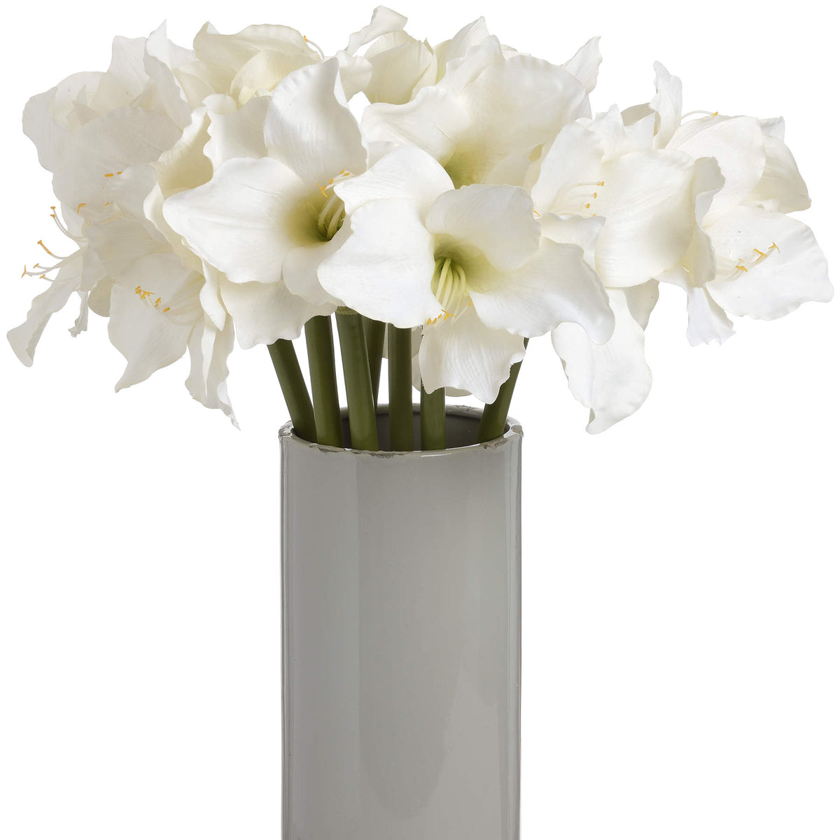 Classic White Amaryllis Flower – alternate view 3