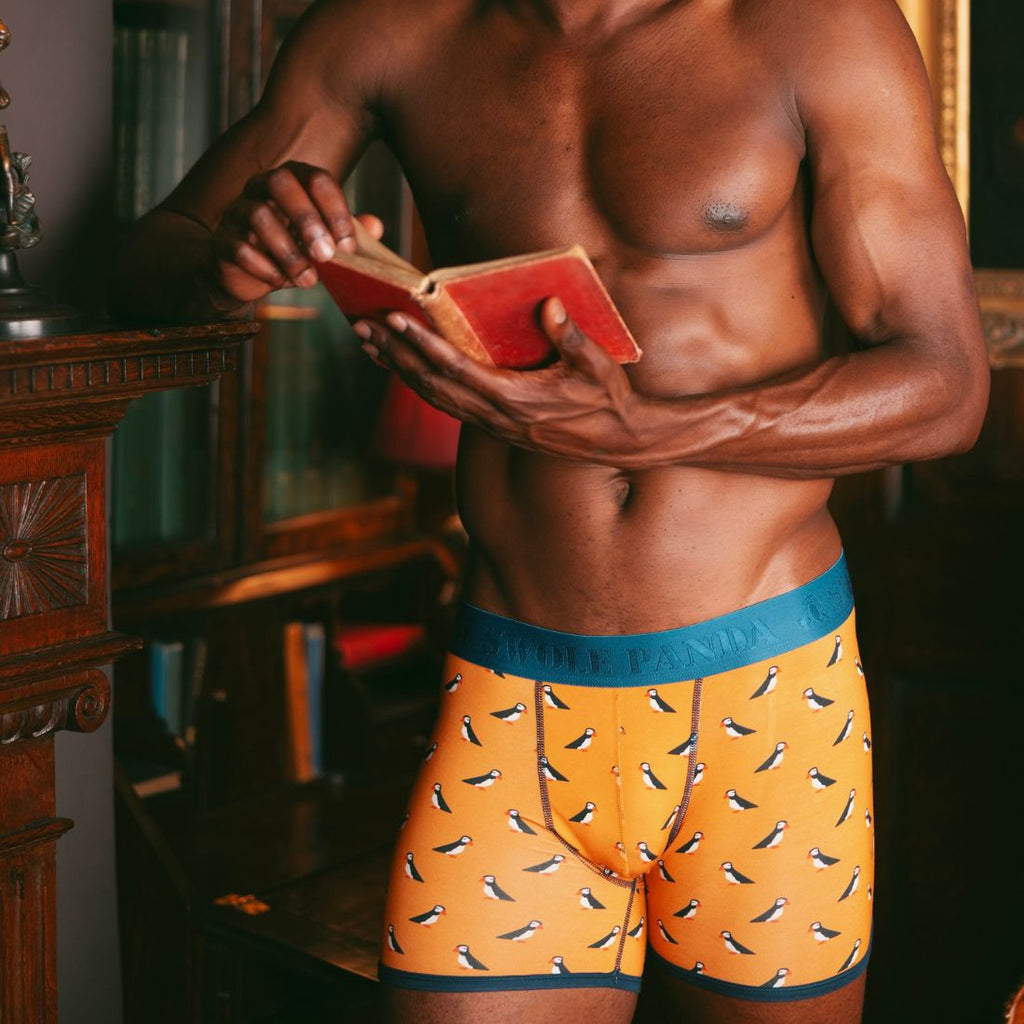 Puffins Bamboo-Viscose Boxers