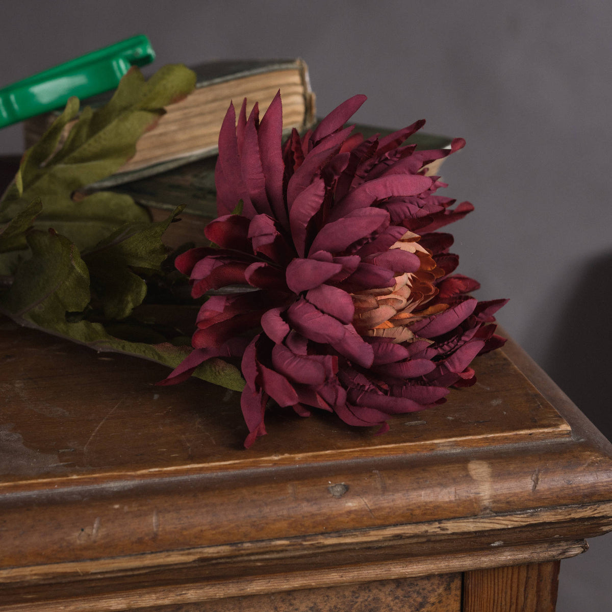 Autumn Spider Chrysanthemum – alternate view 3