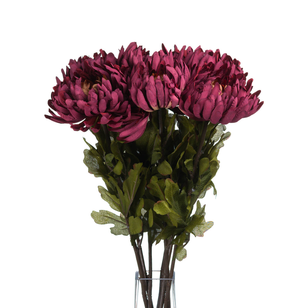 Autumn Spider Chrysanthemum – alternate view 4