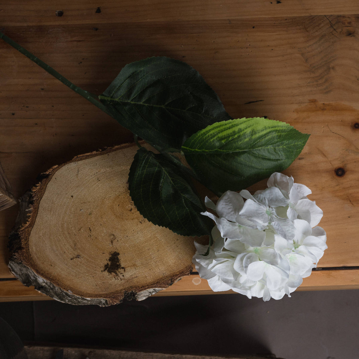 White Small Head Hydrangea – alternate view 2
