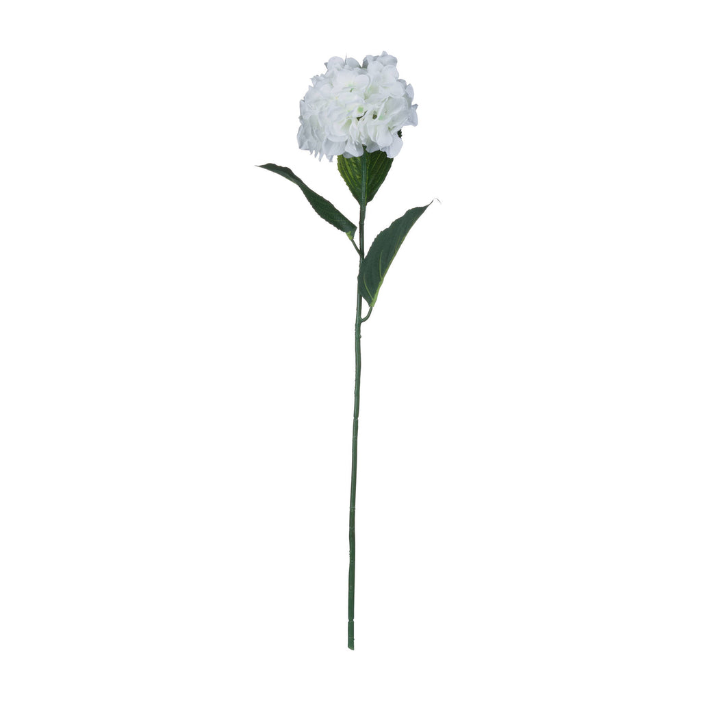 White Small Head Hydrangea – alternate view 5
