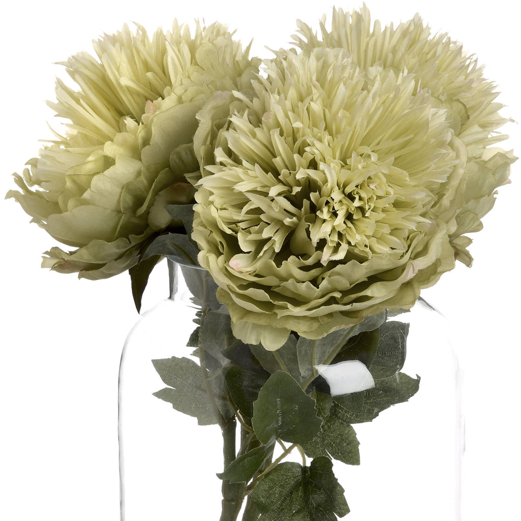 Green Peony – alternate view 4