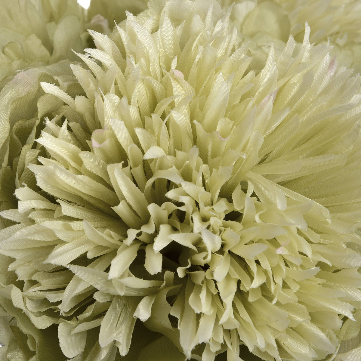 Green Peony – alternate view 5