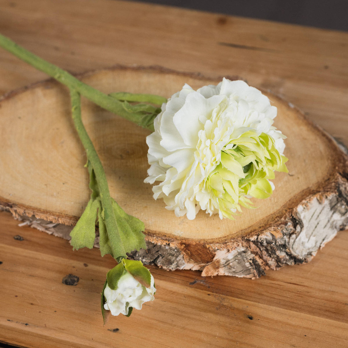 Green Ranunculus Spray – alternate view 3