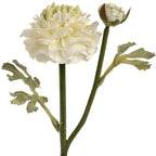 Green Ranunculus Spray – alternate view 4