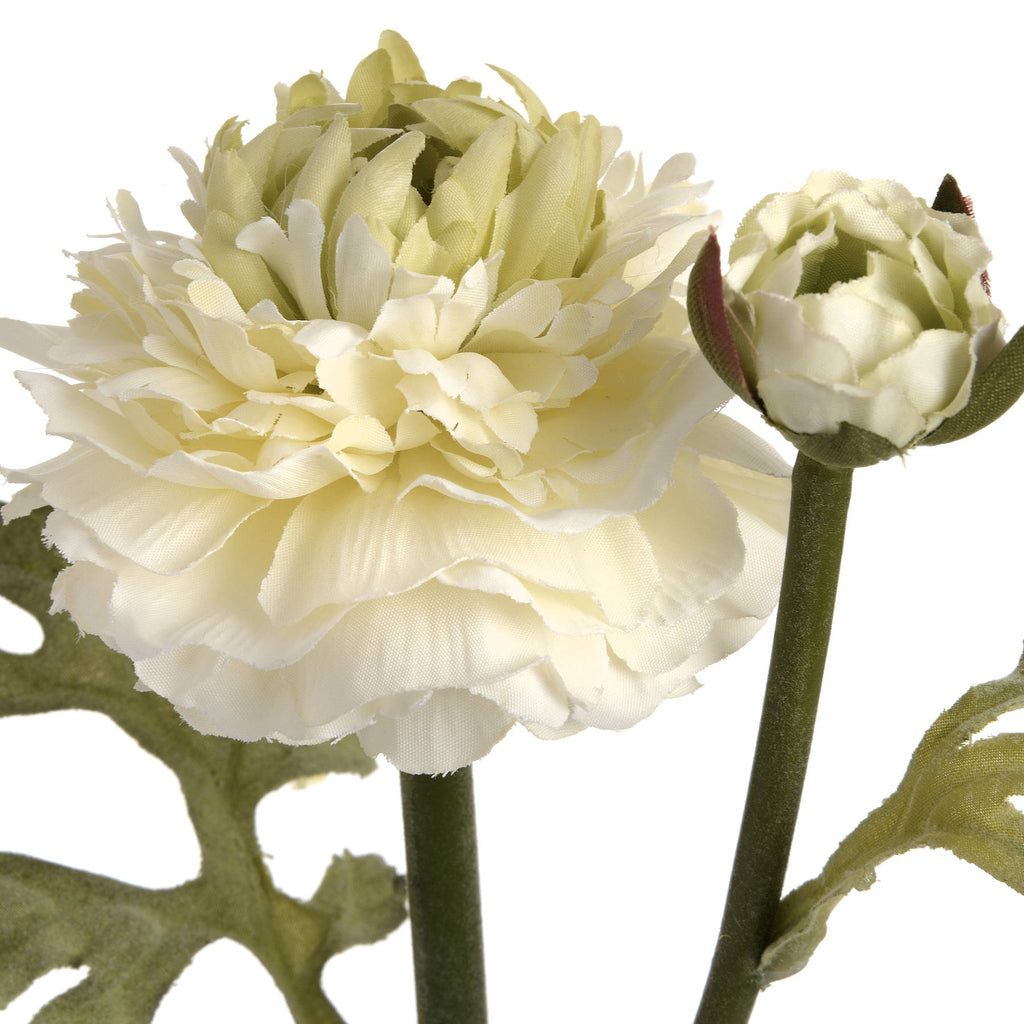 Green Ranunculus Spray – alternate view 5
