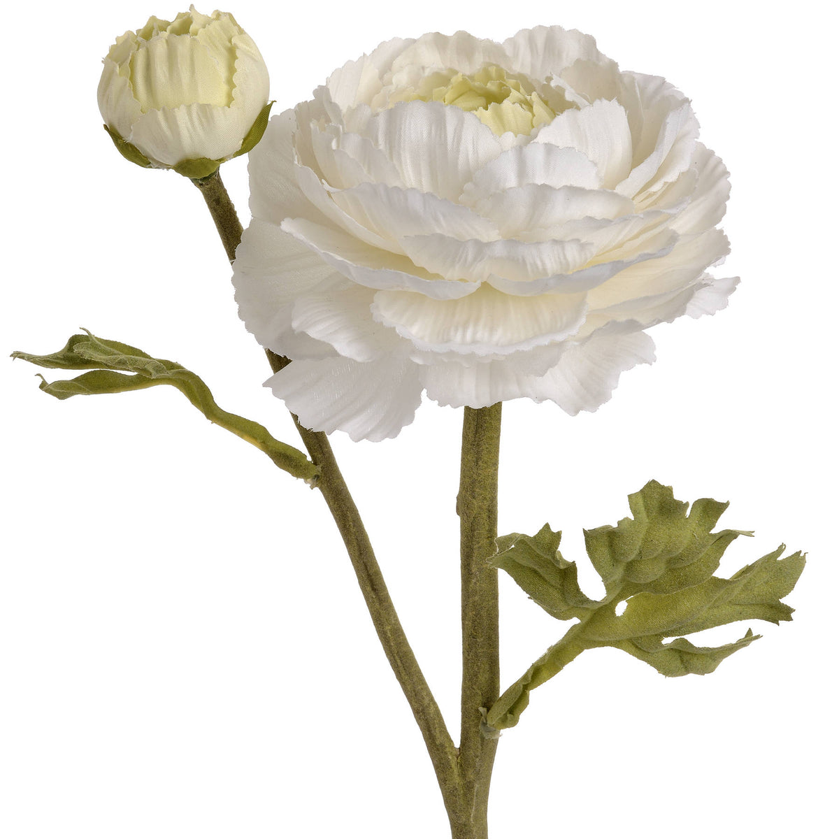 White Ranunculus Spray – alternate view 4