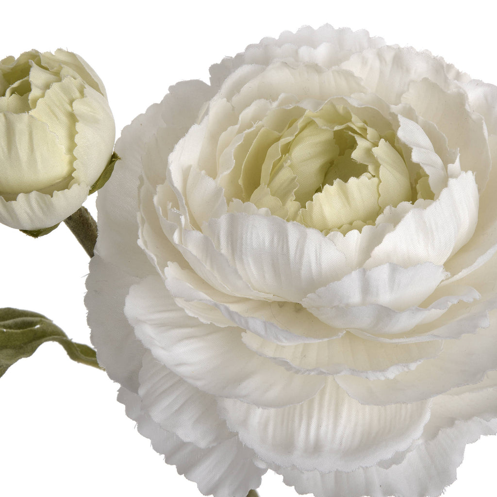 White Ranunculus Spray – alternate view 5