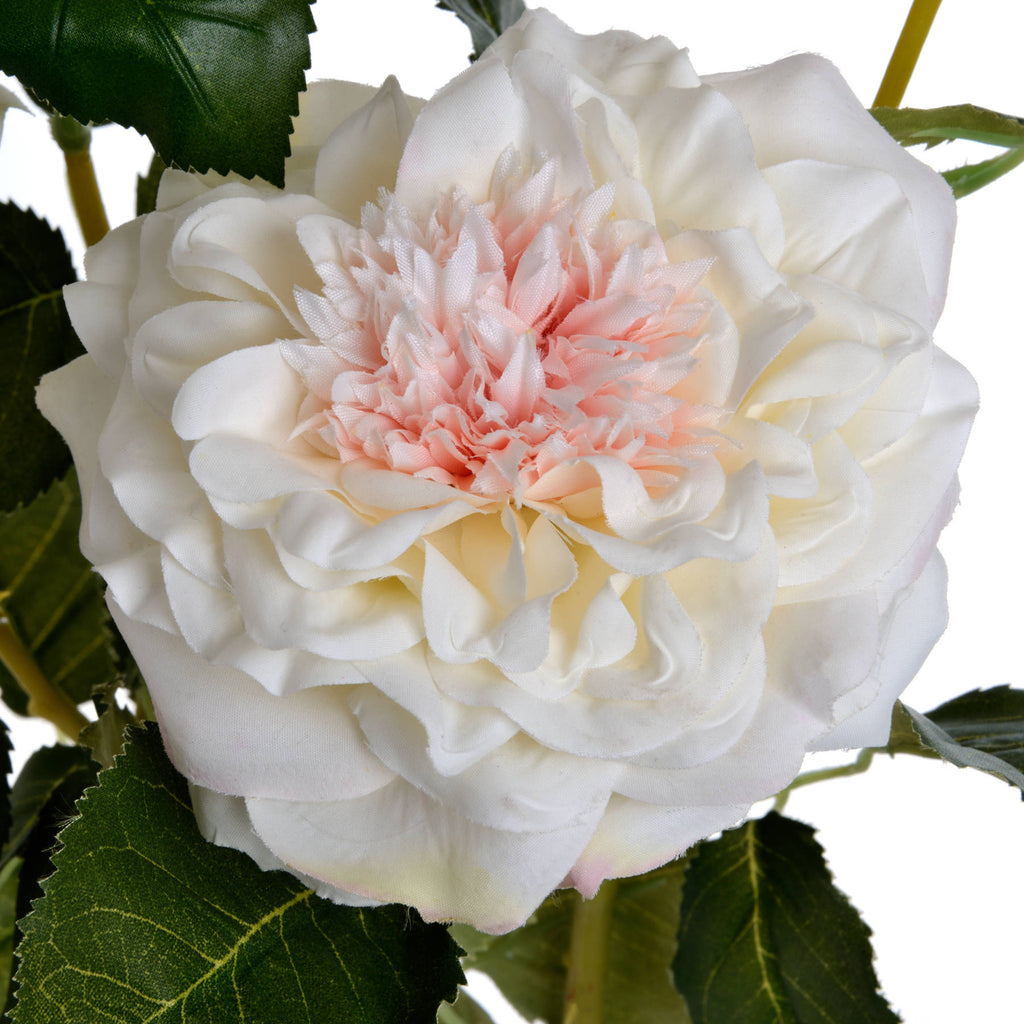 White Garden Rose Spray – alternate view 5