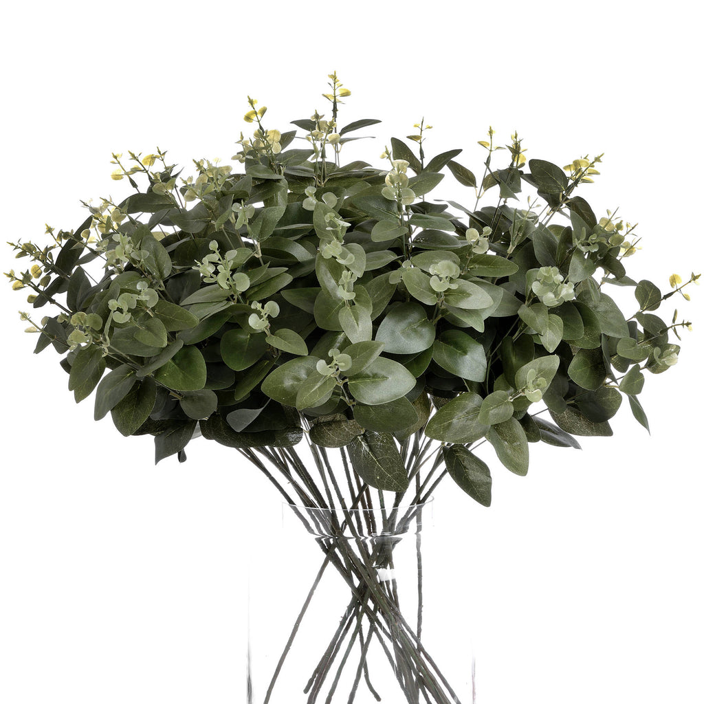 Cineraria Eucalyptus Spray – alternate view 4