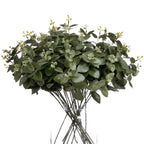 Cineraria Eucalyptus Spray – alternate view 4