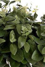 Cineraria Eucalyptus Spray – alternate view 5