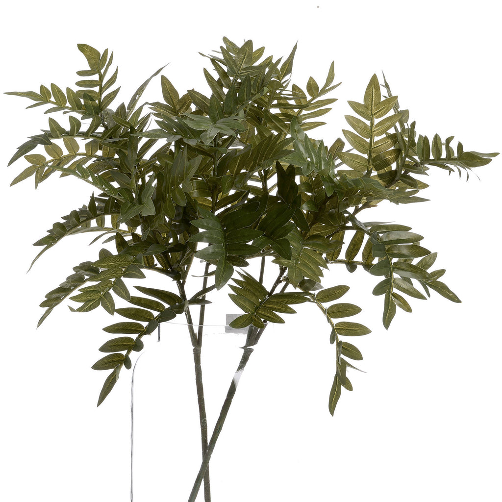 Pistach Bunch – alternate view 4