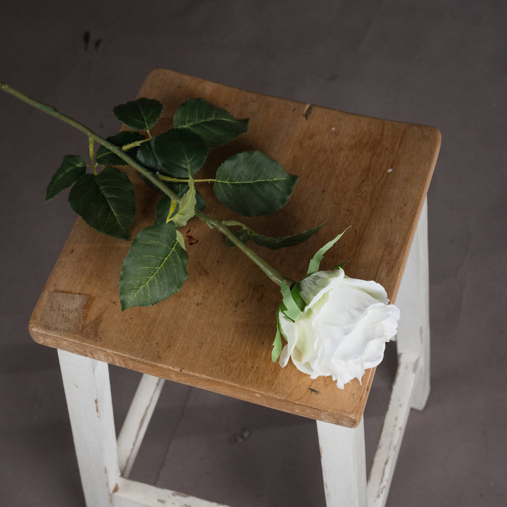 Traditional White Rose – alternate view 2