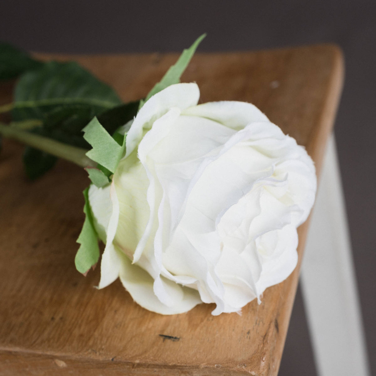 Traditional White Rose – alternate view 3