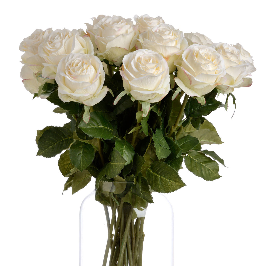 Traditional White Rose – alternate view 4