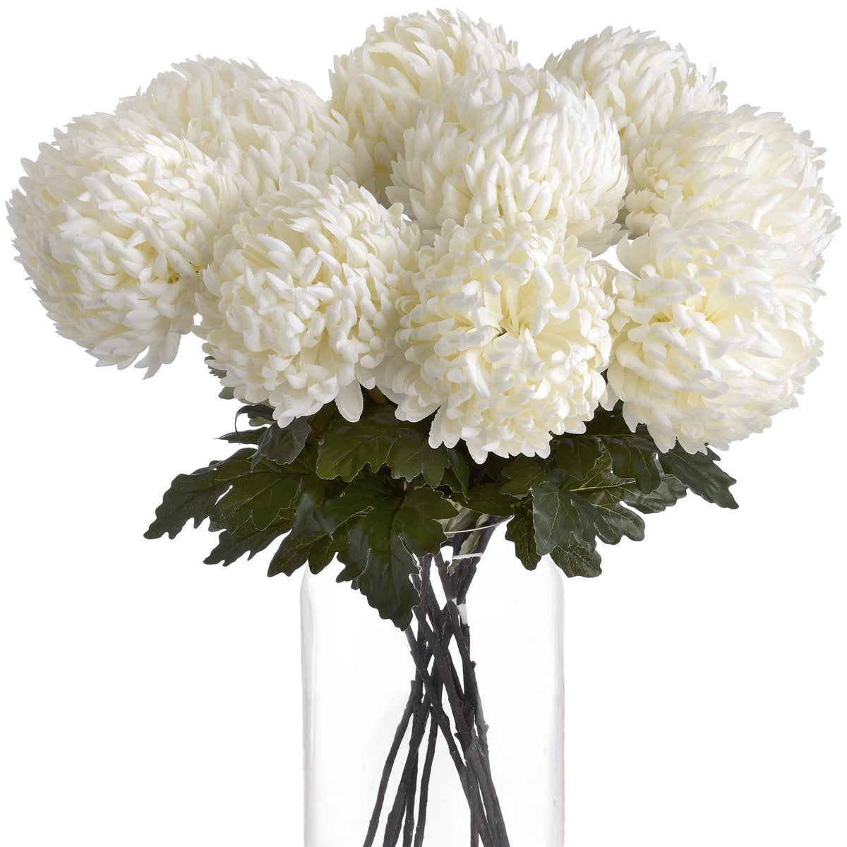 Large White Chrysanthemum – alternate view 3