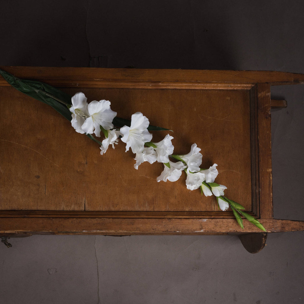 White Gladioli – alternate view 2
