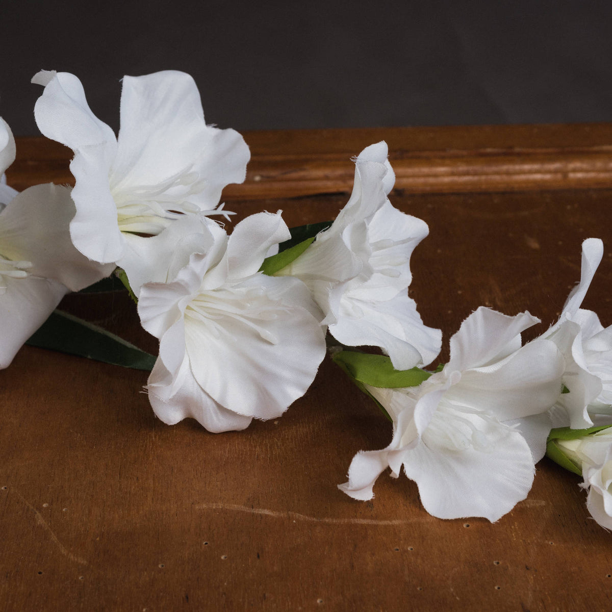 White Gladioli – alternate view 3