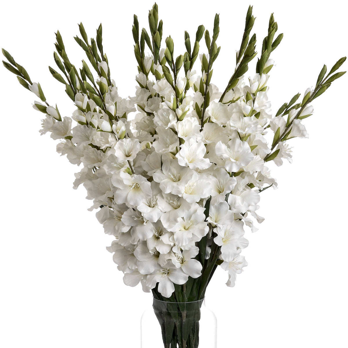 White Gladioli – alternate view 4