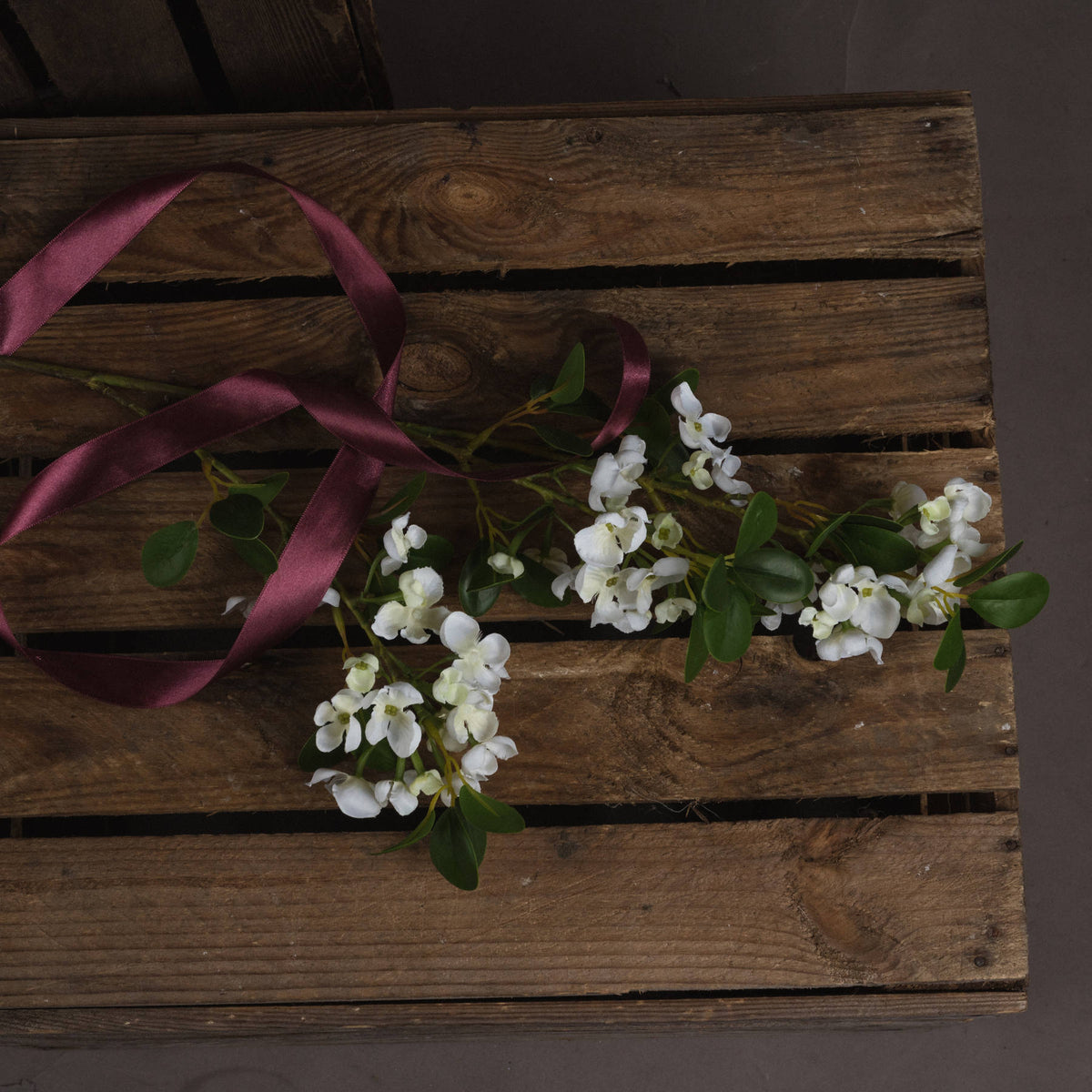 White Spring Mock Orange Flower – alternate view 2