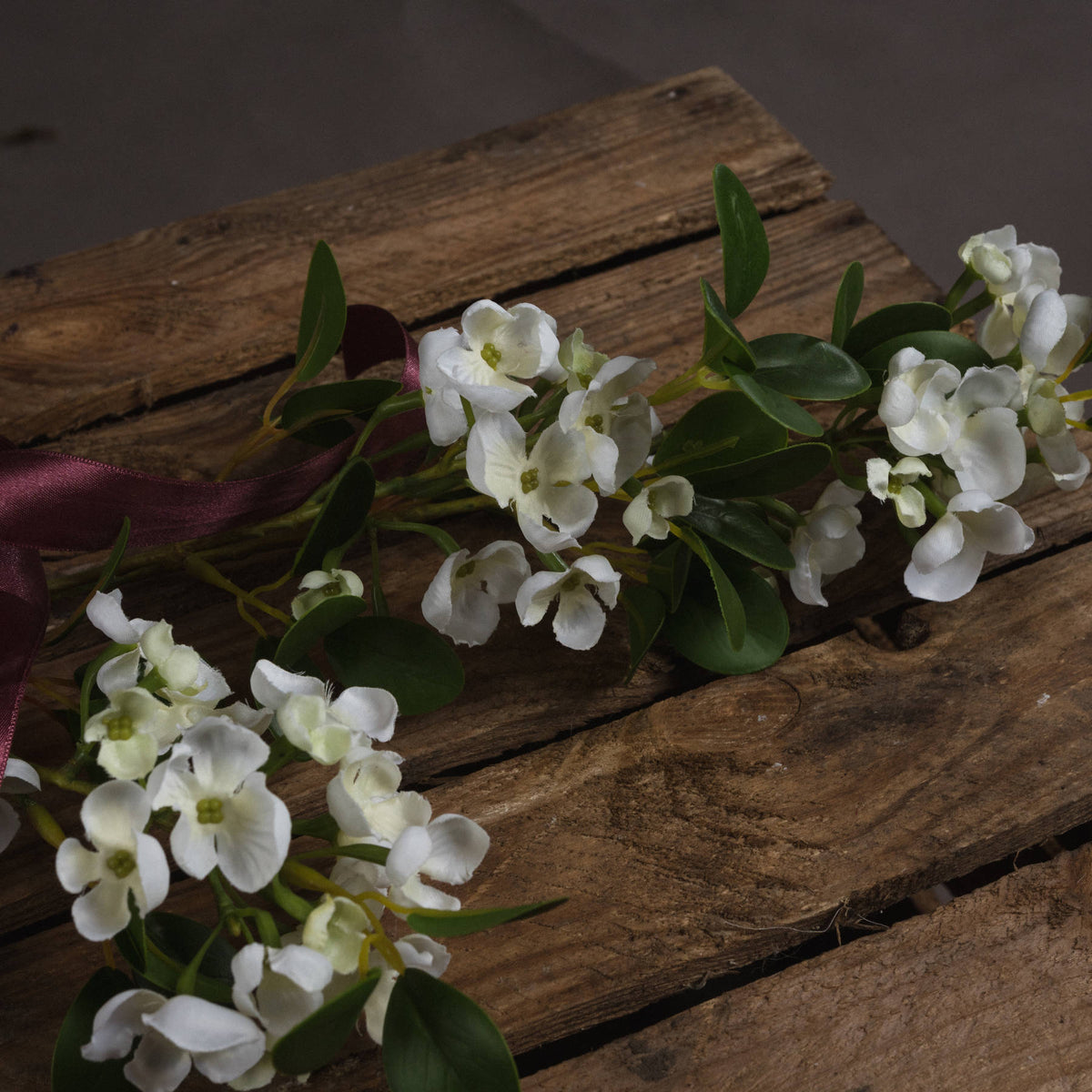 White Spring Mock Orange Flower – alternate view 3
