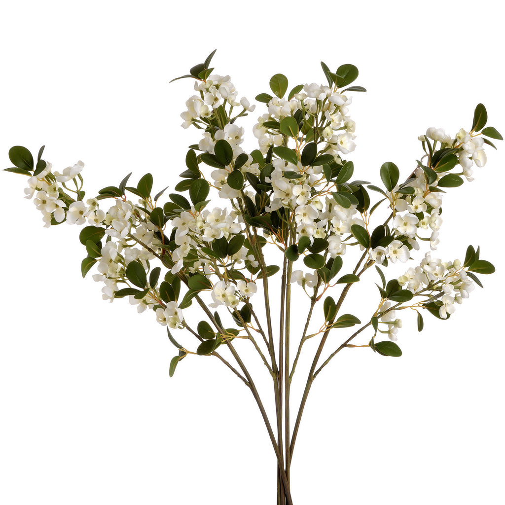 White Spring Mock Orange Flower – alternate view 4