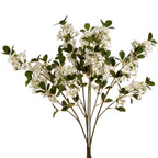 White Spring Mock Orange Flower – alternate view 4