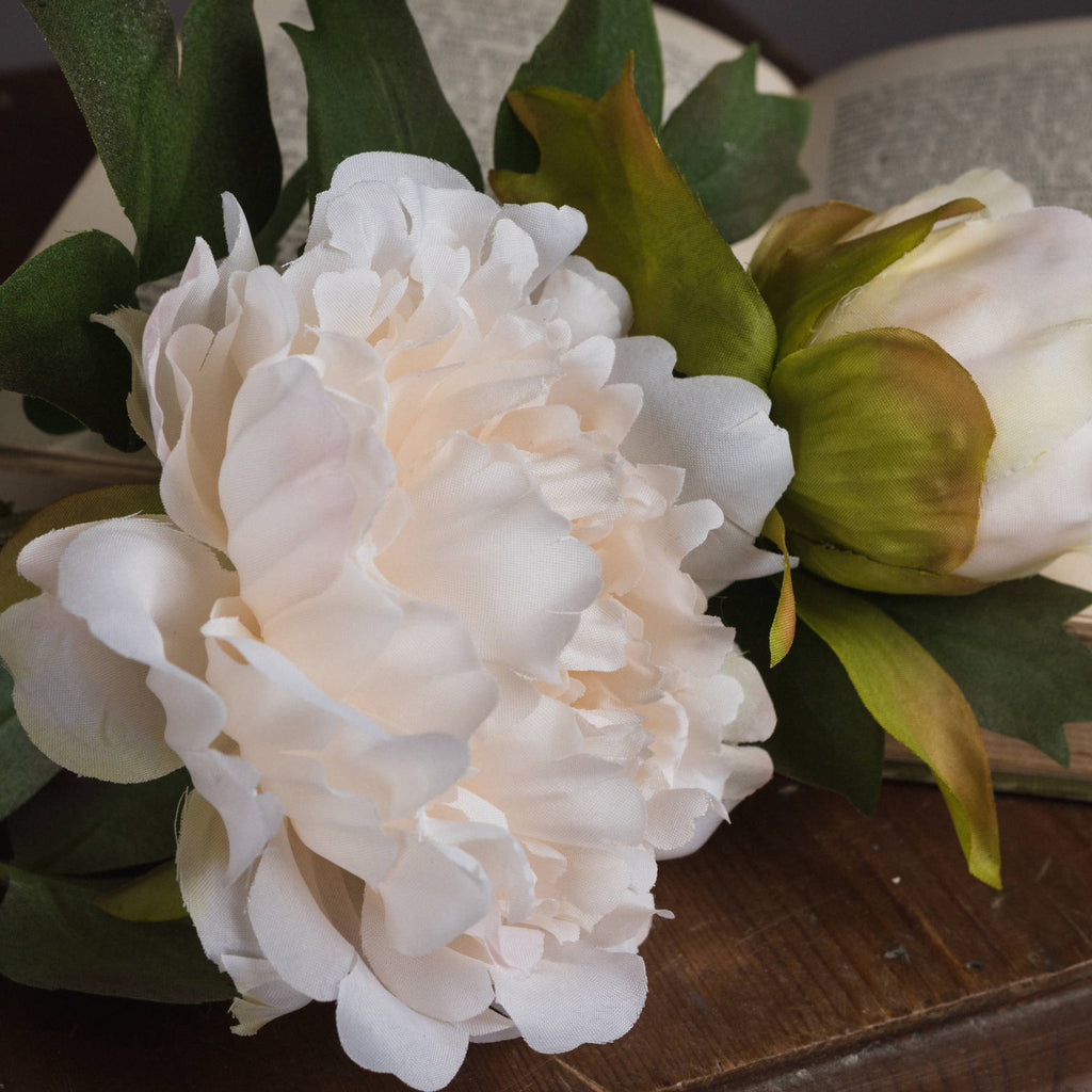 White Fashion Peony – alternate view 3