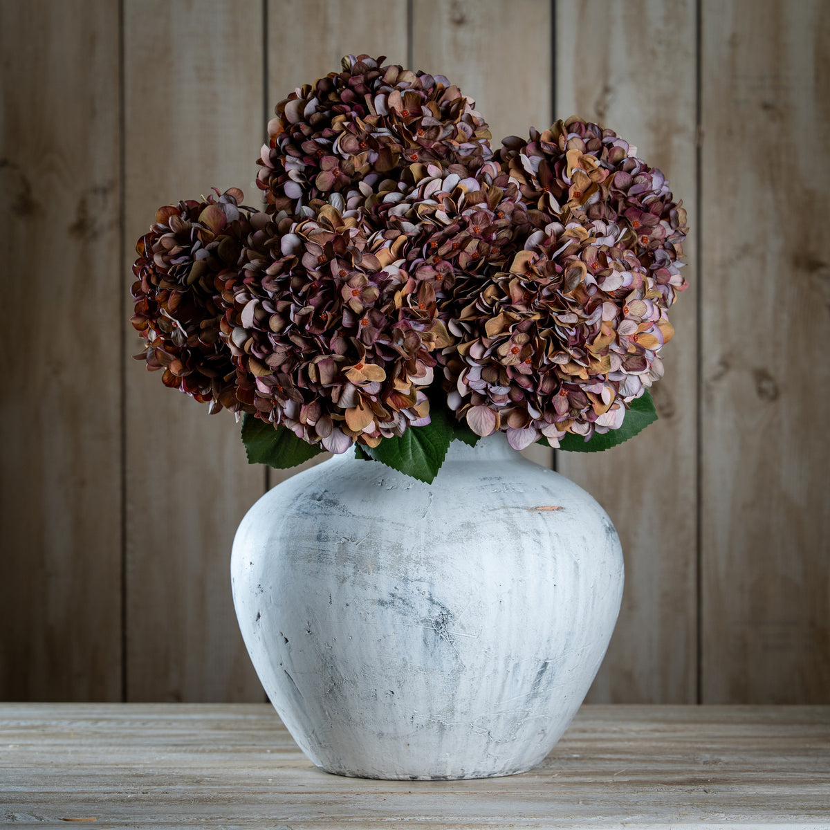Autumn Coffee Hydrangea – alternate view 3
