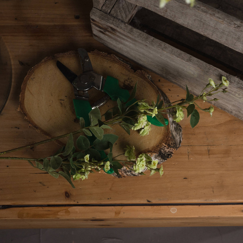 Green Wild Meadow Rose – alternate view 2