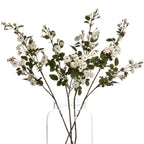 White Wild Meadow Rose – alternate view 4