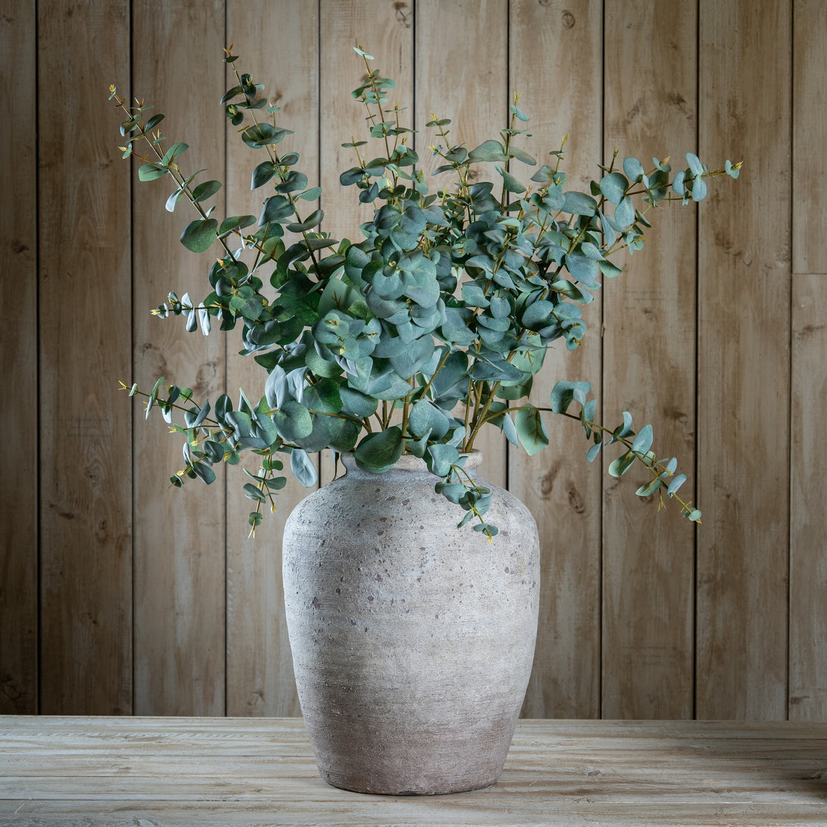 Variegated Eucalyptus – alternate view 2