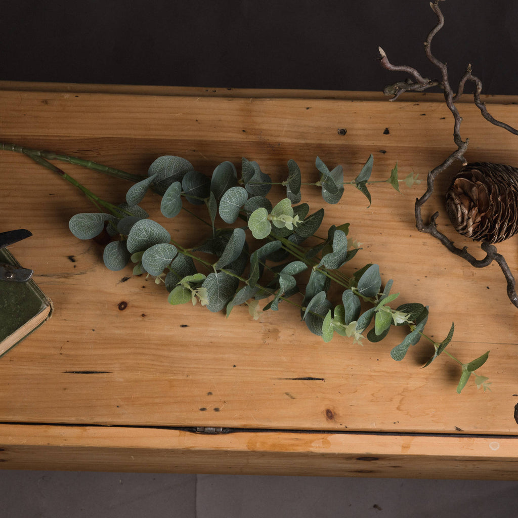 Eucalyptus Spray – alternate view 2