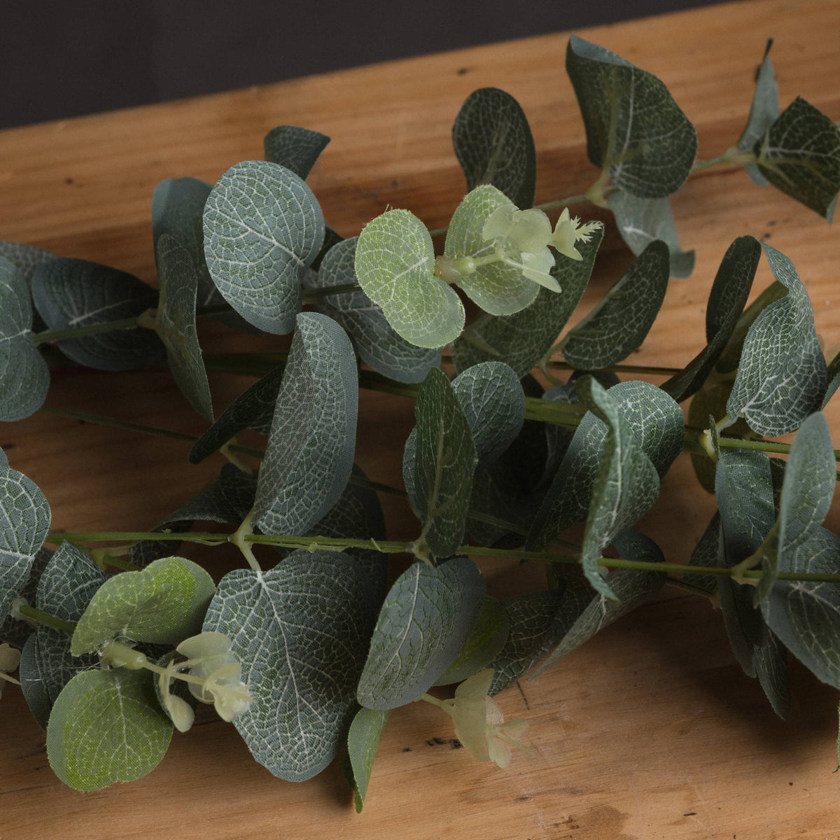 Eucalyptus Spray – alternate view 3