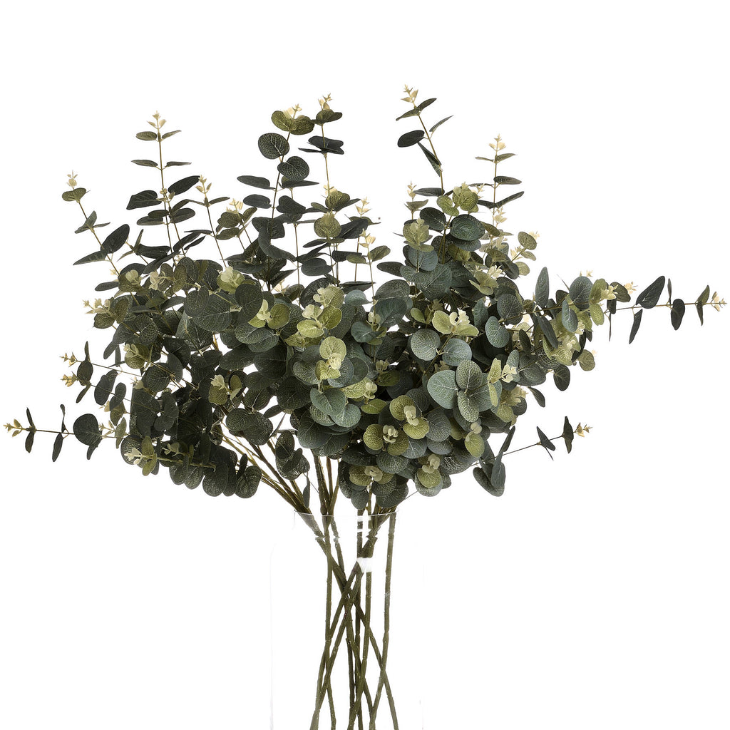 Eucalyptus Spray – alternate view 4