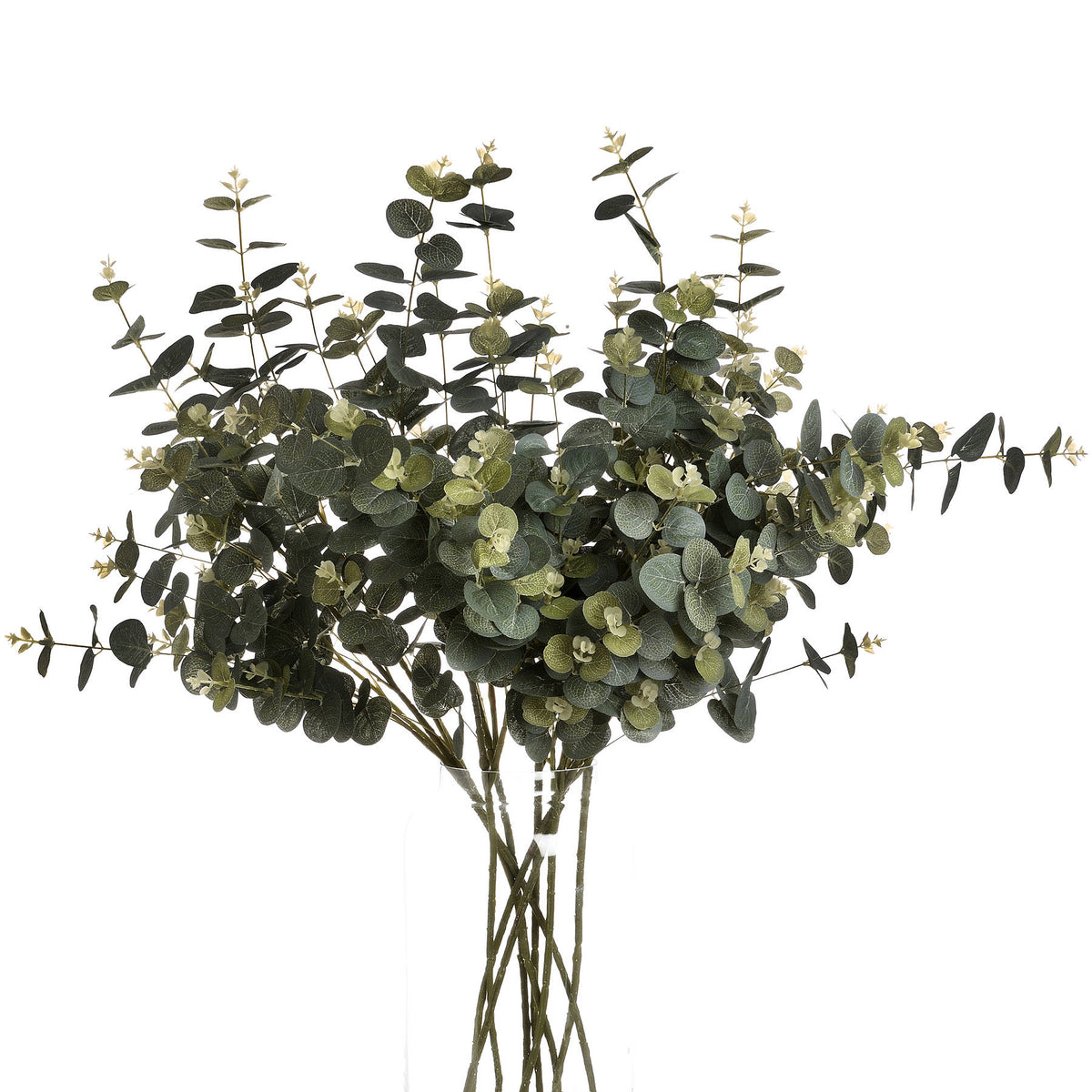 Eucalyptus Spray – alternate view 4