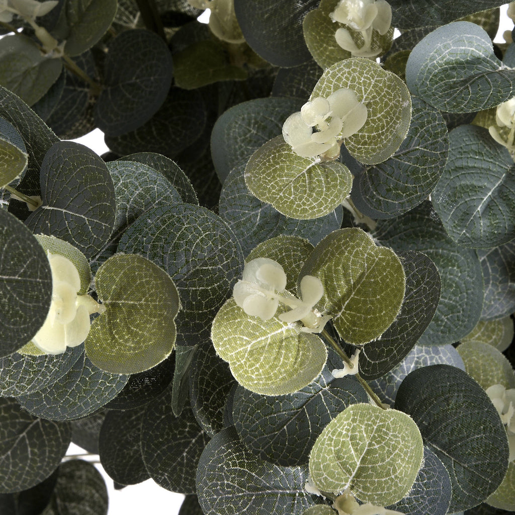 Eucalyptus Spray – alternate view 5