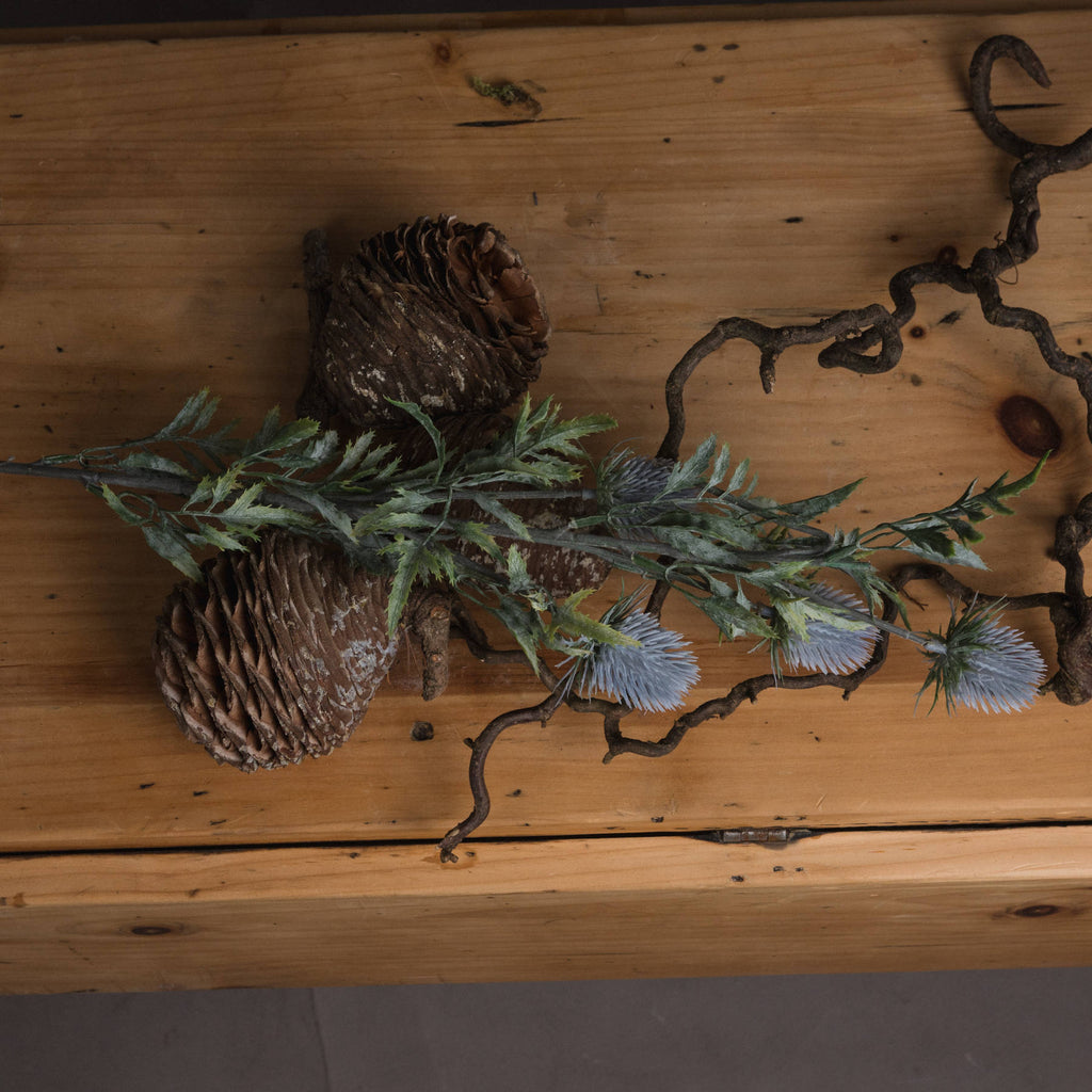 Eryngium Thistle – alternate view 2