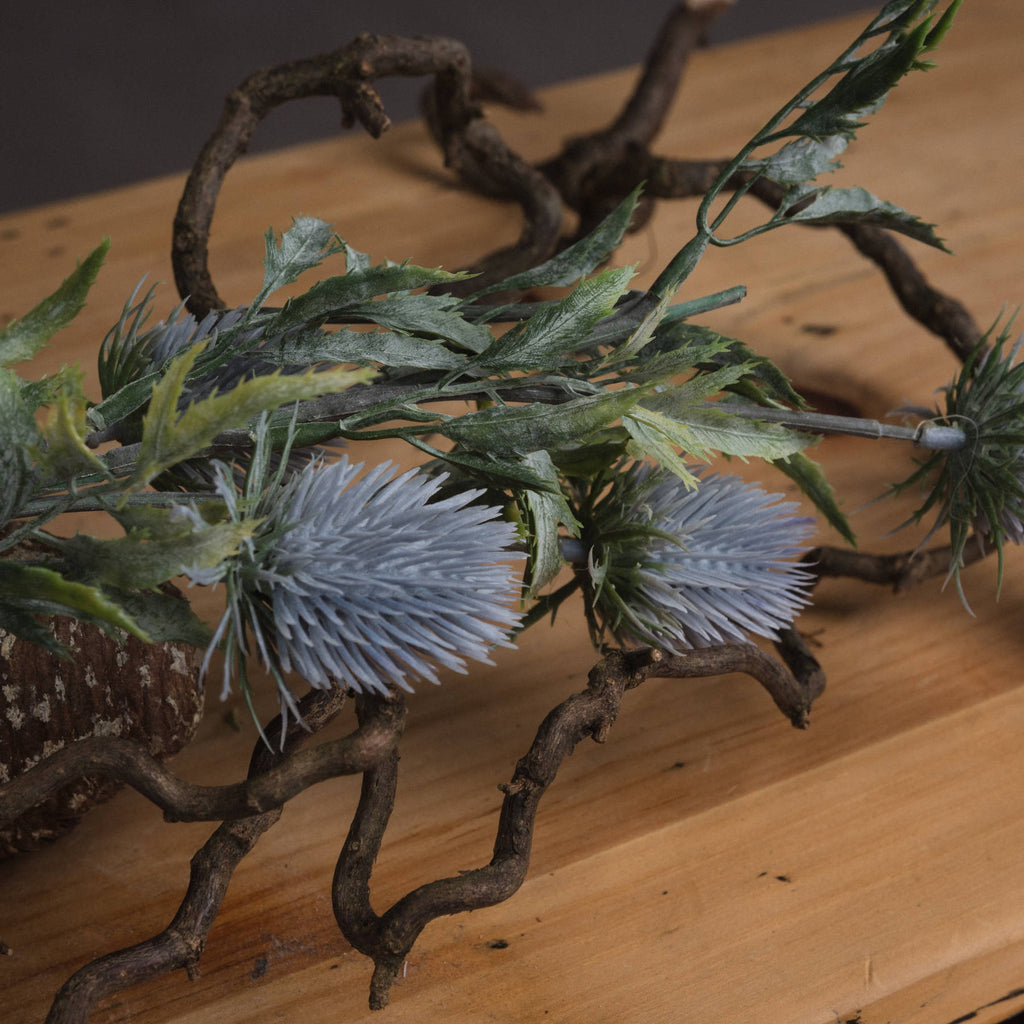 Eryngium Thistle – alternate view 3