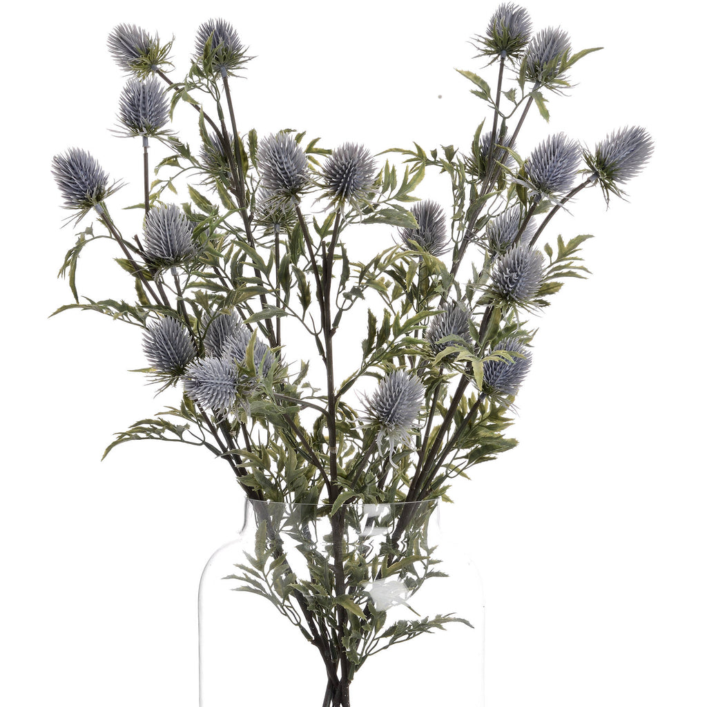 Eryngium Thistle – alternate view 4