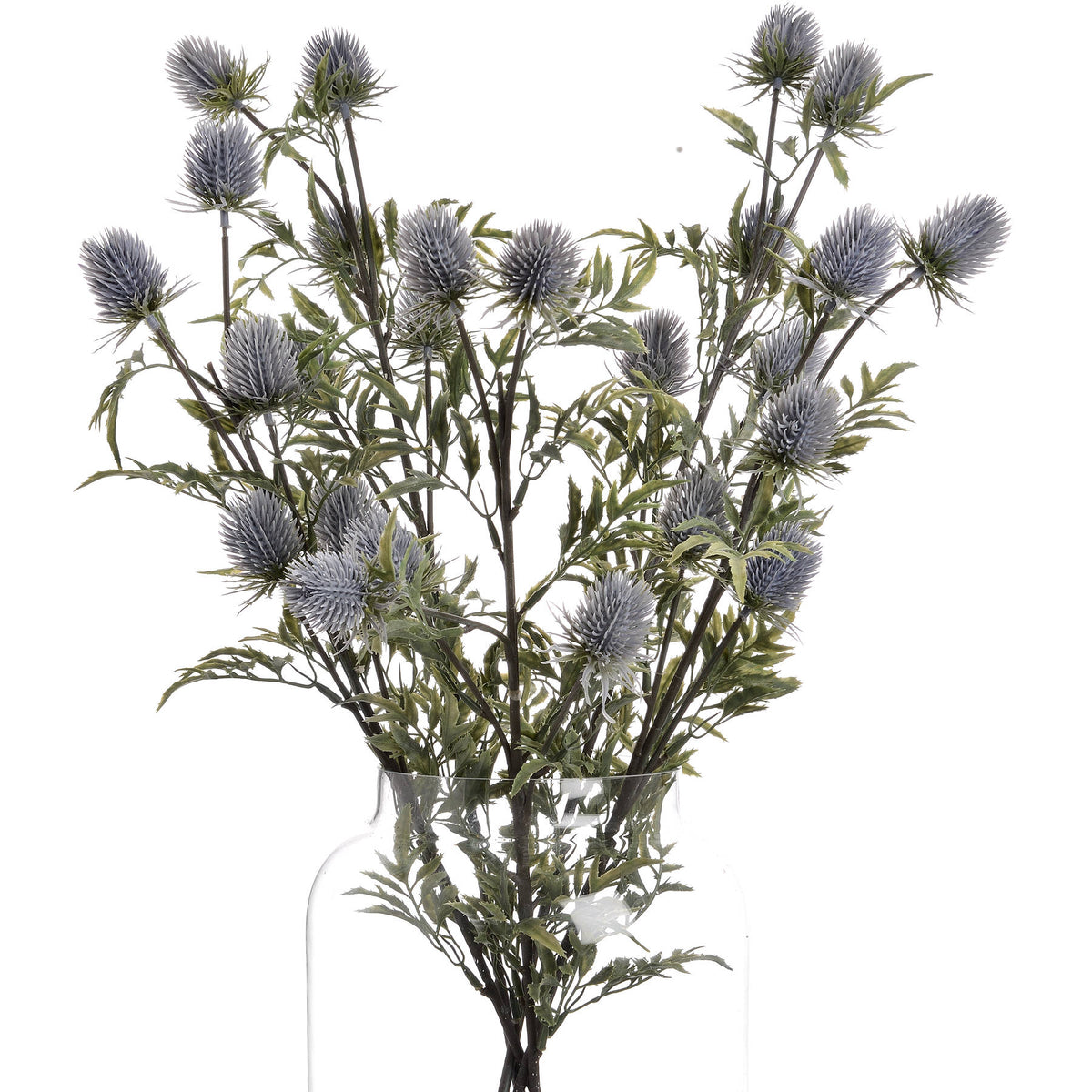 Eryngium Thistle – alternate view 4