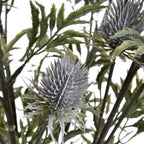 Eryngium Thistle – alternate view 5