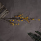Forsythia – alternate view 2