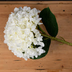 Oversized White Hydrangea – alternate view 2