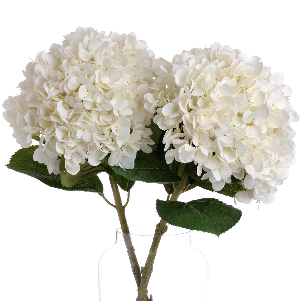 Oversized White Hydrangea – alternate view 3
