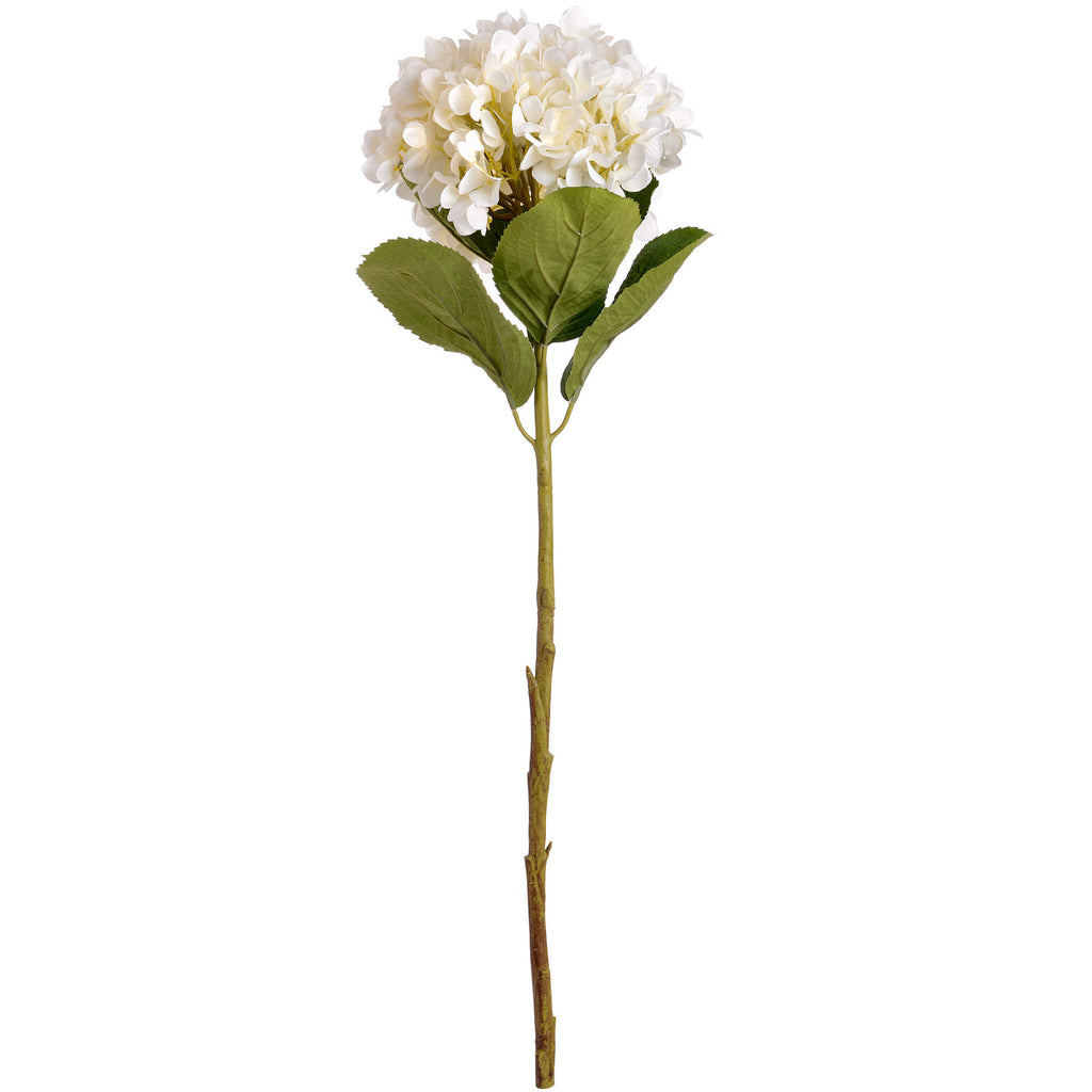 Oversized White Hydrangea – alternate view 4