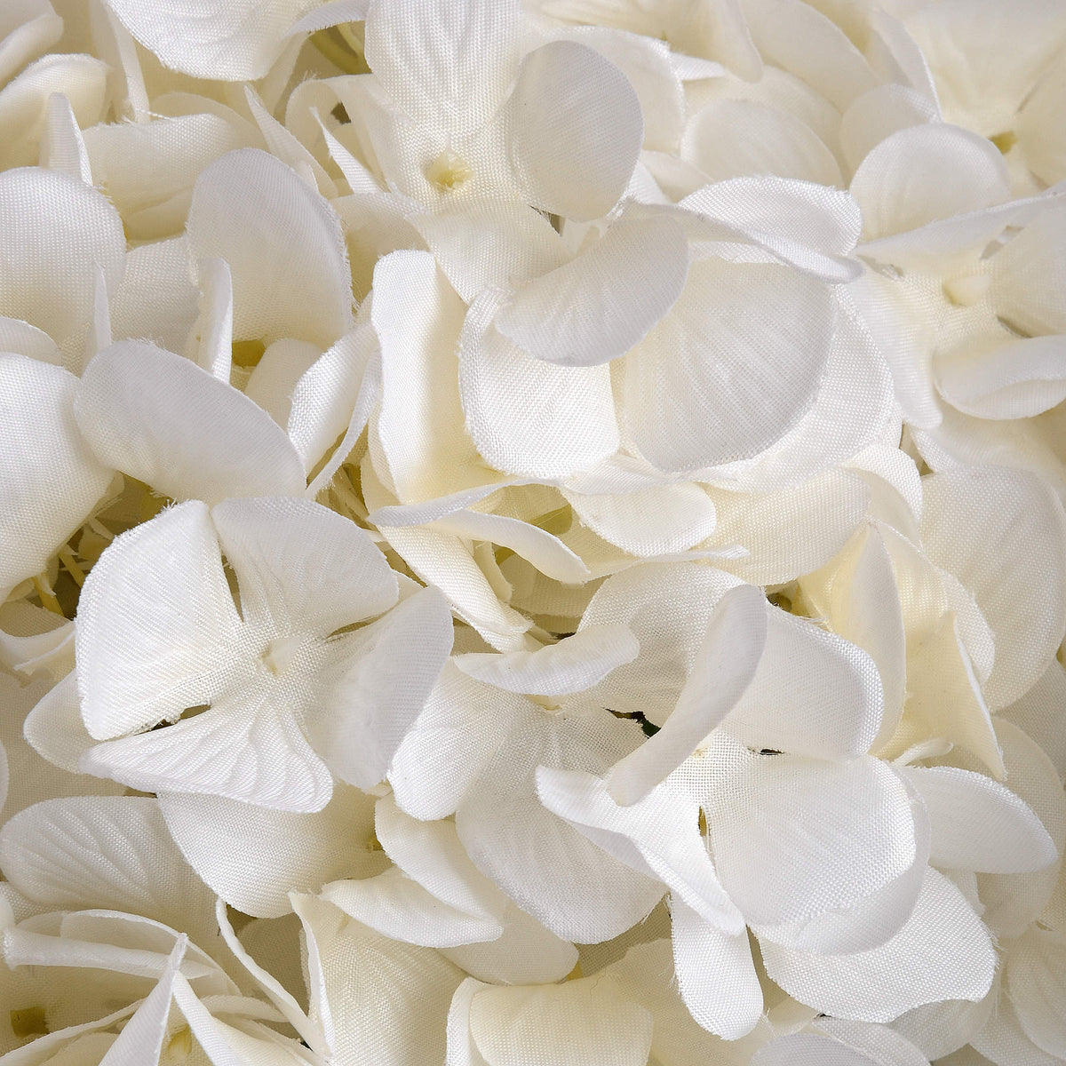 Oversized White Hydrangea – alternate view 5