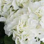 White Hydrangea Bouquet – alternate view 5